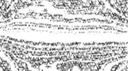 image: image from bw hatch 1