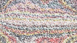 image: 2.0 collection thumbnail