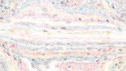 image: image from generative brush examples