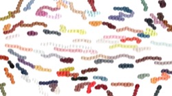 image: image from image brush