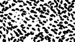 image: 2.0 collection thumbnail