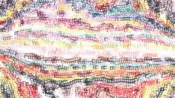 materials :: runnydisks1