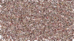 materials :: waxflow1