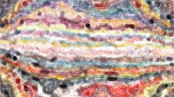 image: image from movie brush 2