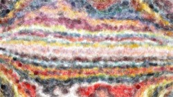 image: image from movie brush 2