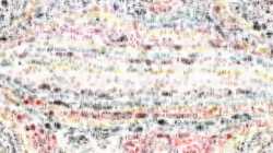 image: image from movie brush 2