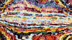 image: image from movie brush 2