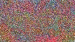 image: image from multipen