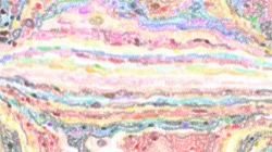 image: image from paint 2