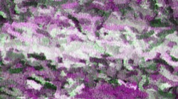 image: image from paint 2