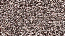 image: image from particle pen