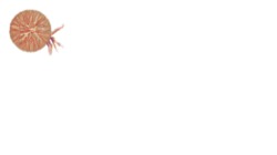 image: image from particle pen