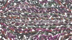 image: image from particle pen