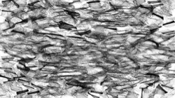 image: 2.0 collection thumbnail