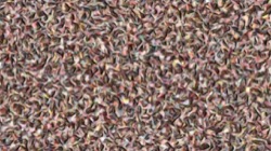 image: image from patterns