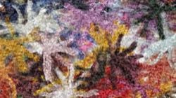 image: image from soft