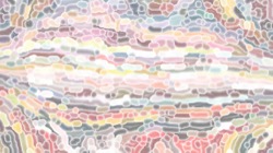 image: image from soft