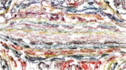 image: image from soft