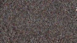 image: image from abstract lighted cloners