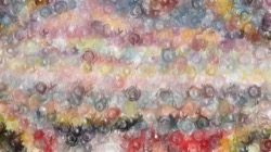 image: image from bristle paints