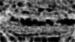 image: image from bw effects