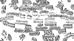 image: image from bw effects