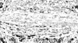 image: image from bw effects