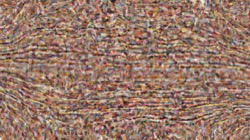 image: image from canvas manipulators