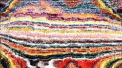 image: image from cloners