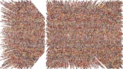 image: image from cloners 1