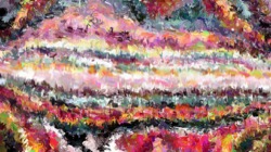 image: image from cloners 1