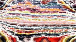 image: image from cloners 2