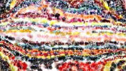 image: image from cloners 2