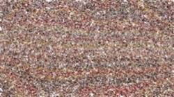 image: image from cloners 2