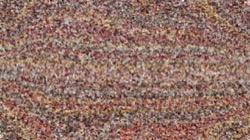 image: image from cloners 2