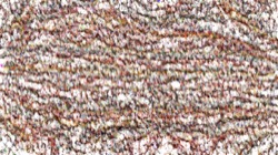 image: image from cloners 2