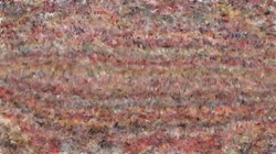 image: image from cloners 2