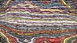 image: image from cloners 4