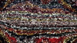 image: image from cloners 4