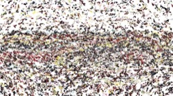 image: image from cloners 4