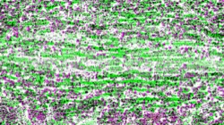 image: image from cloners 4