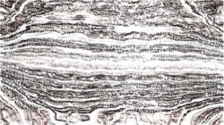 image: 3.0 collection thumbnail