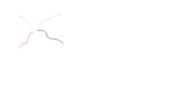 image: image from examples