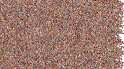 image: image from examples