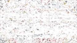 image: image from flakes