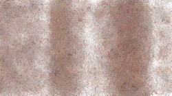 image: image from frothy