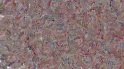 image: image from frothy