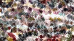 image: image from frothy