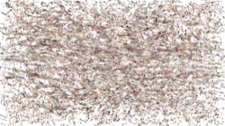 image: image from frothy