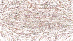 image: image from frothy